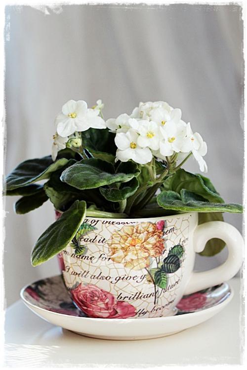 ideas-tazas-porcelana ideas-tazas-porcelana